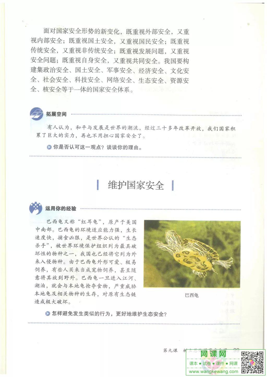 网课网