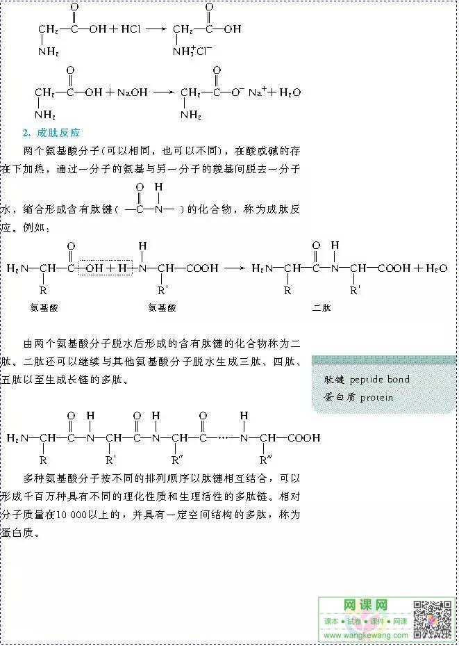 网课网