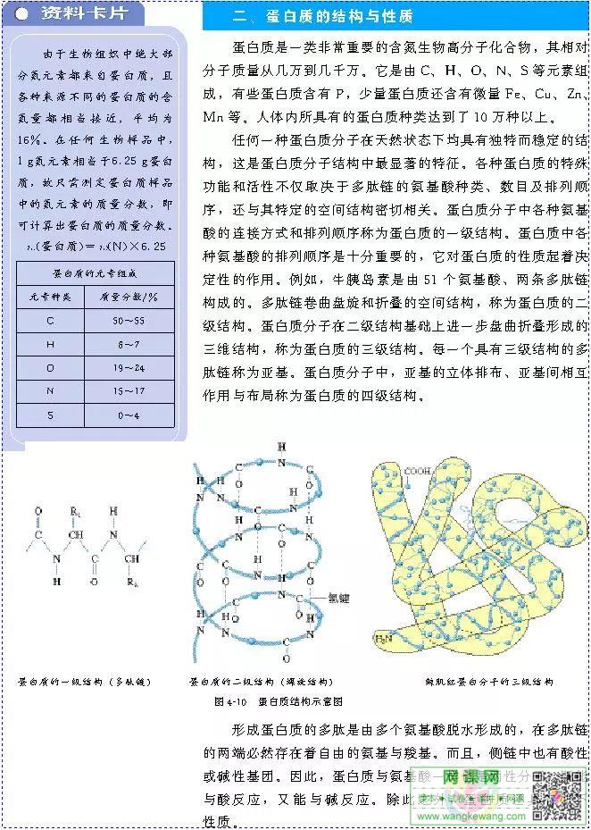 网课网