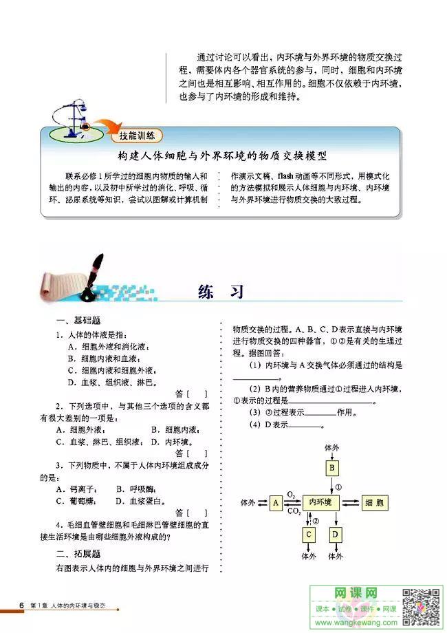 网课网