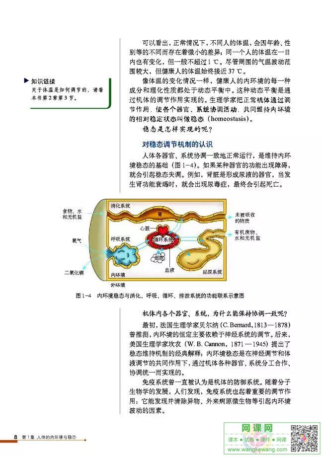 网课网