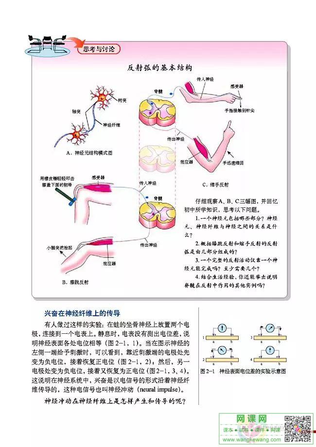 网课网