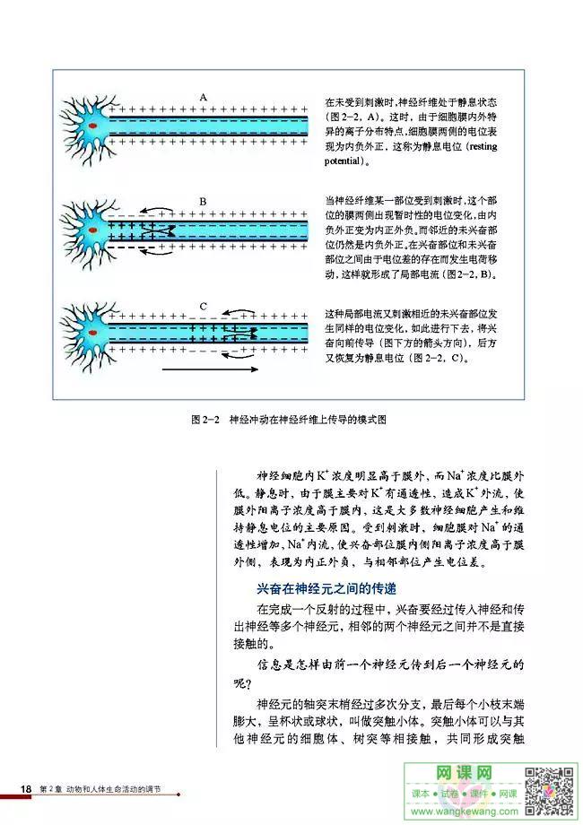 网课网