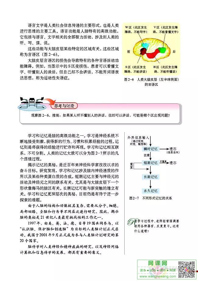 网课网