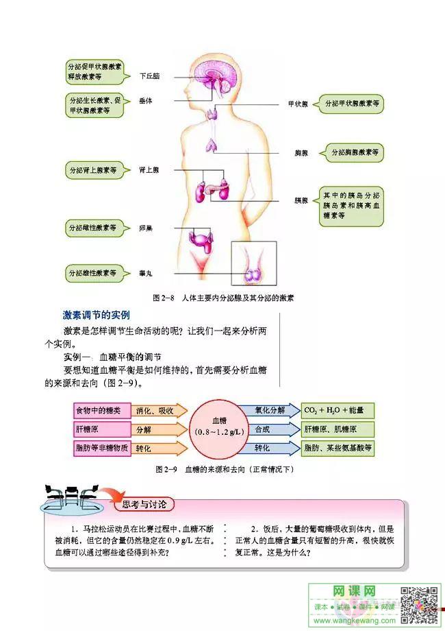 网课网