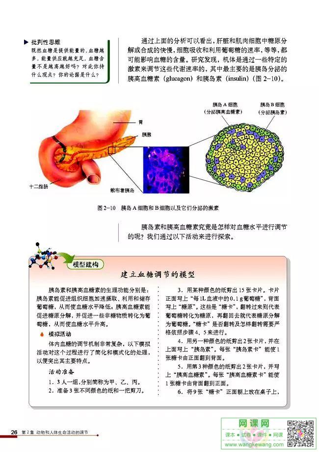 网课网