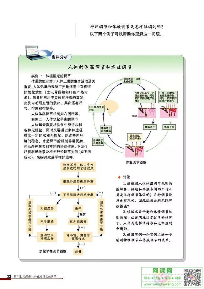 网课网