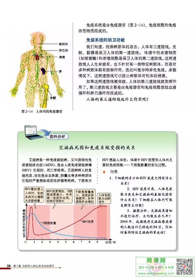 网课网