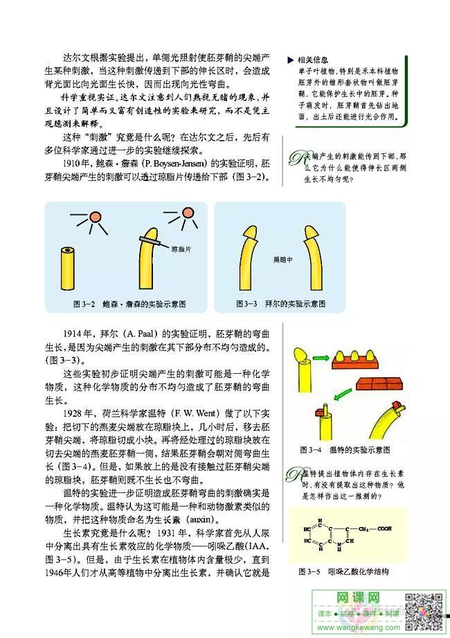 网课网