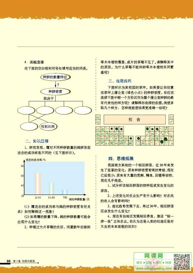 网课网