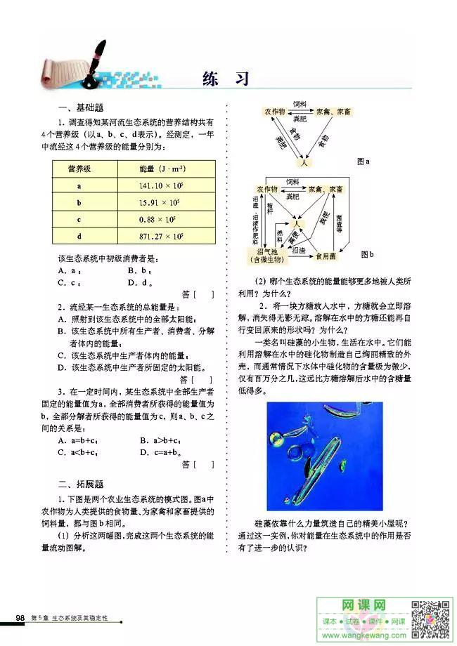 网课网