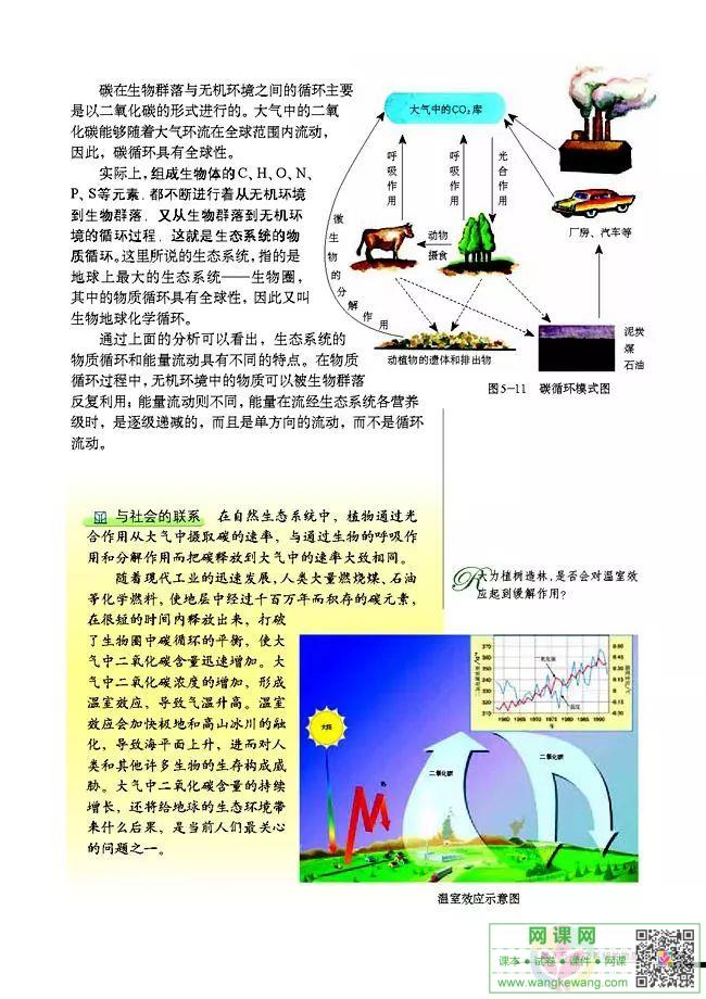 网课网