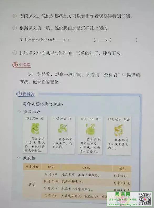 网课网