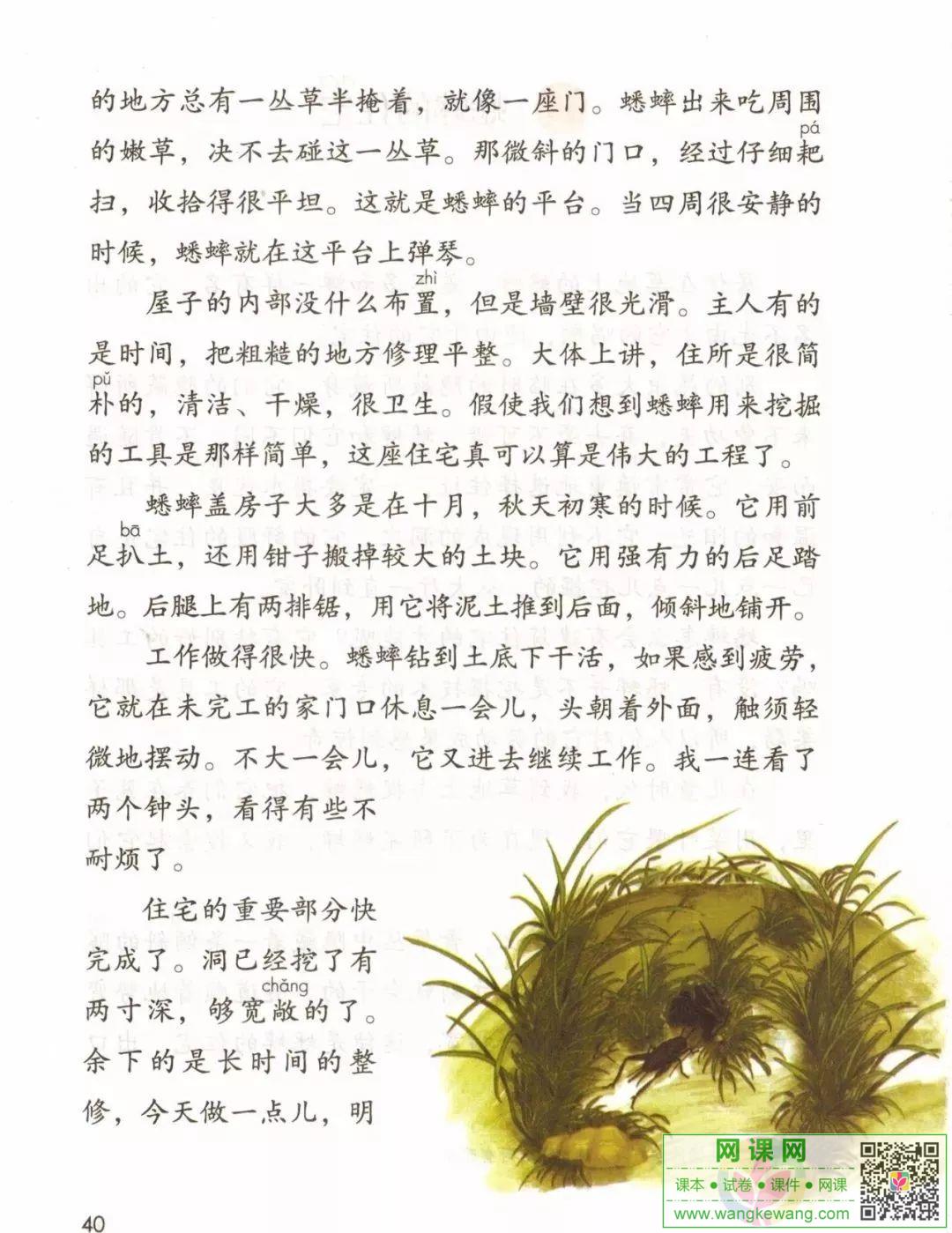 网课网