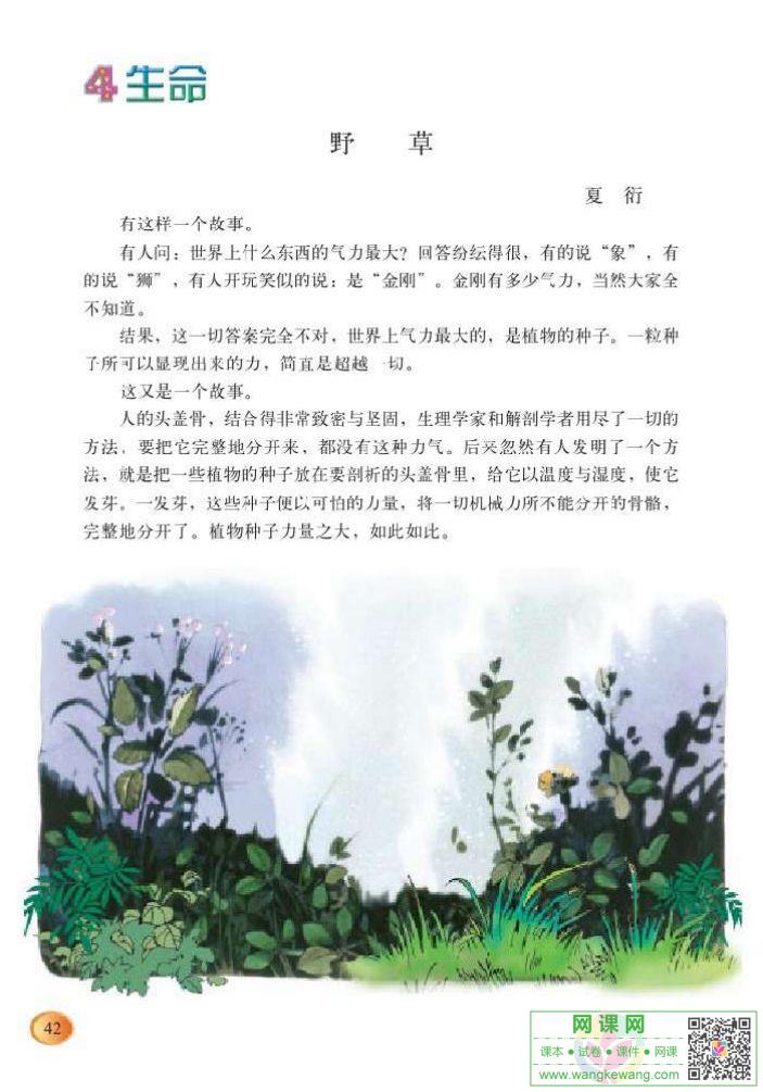 网课网